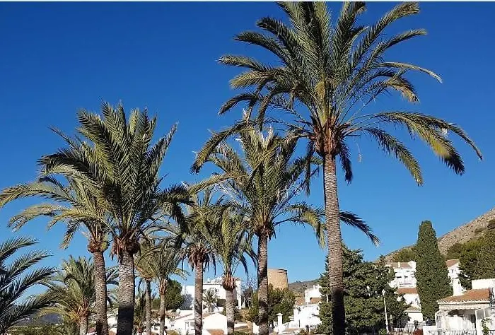 Lovely 2 Bedroom In Capuchinos, San Juan De Capistrano, Apartament Nerja